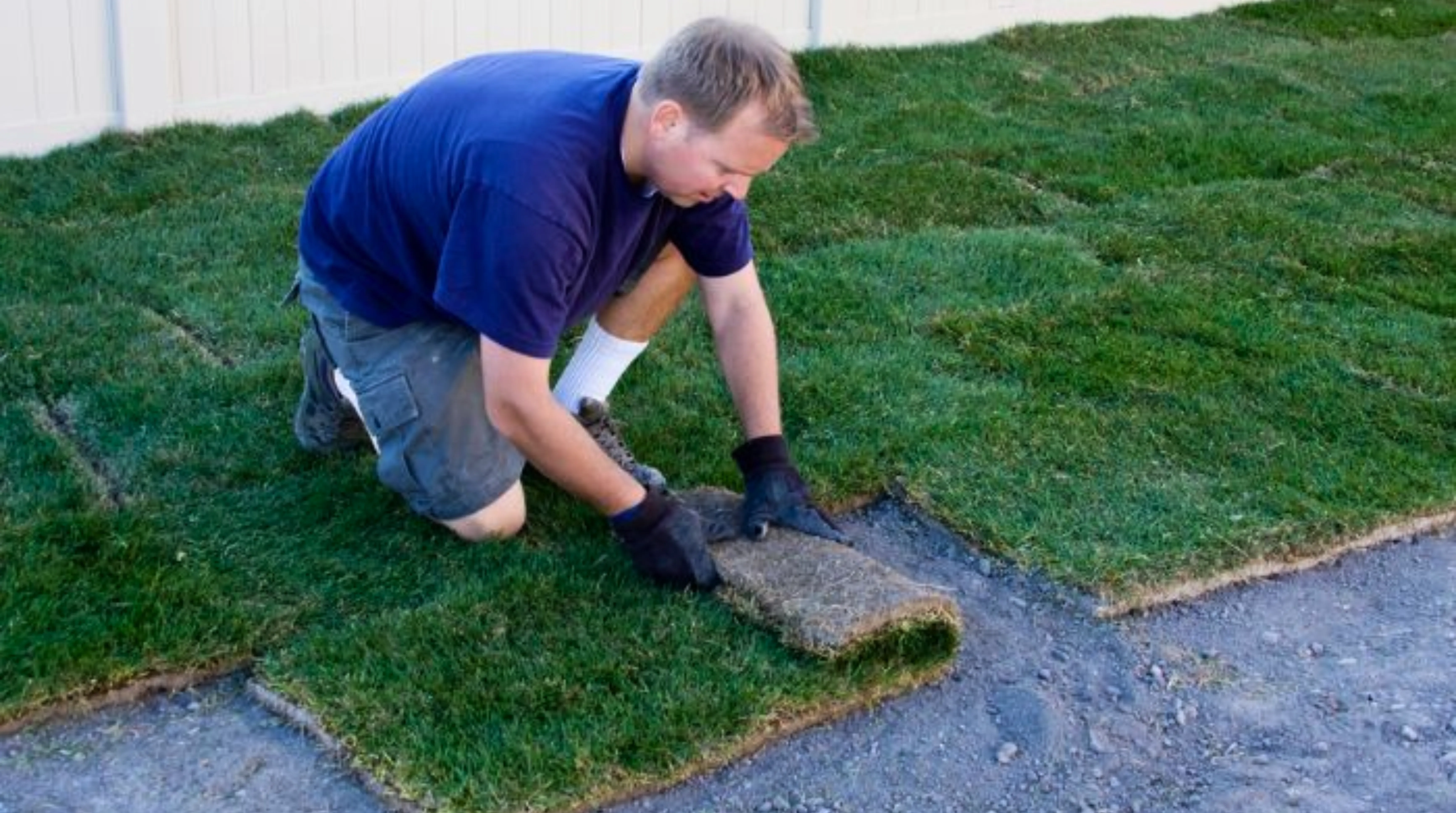High-quality garden suite renovation and construction services in Calgary